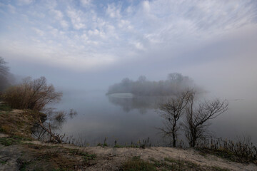 Obraz premium misty morning in the forest