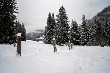 A snowy path winding through the Chocholowska Valley, surrounded by trees blanketed in fresh snow. The serene winter scene invites a sense of quiet and untouched natural beauty.