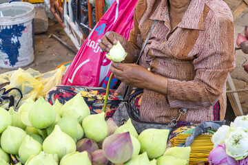 lotus flowers for offerings at the Preah Ang Dorngkeu Shrine landmark on sisowath quay in Phnom Penh