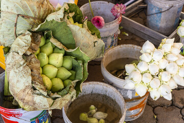 lotus flowers for offerings at the Preah Ang Dorngkeu Shrine landmark on sisowath quay in Phnom Penh