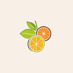 Fresh Orange in Flat Design, Pop Art Style