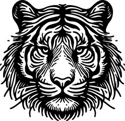 Demonstrative graphic portrait of a tiger in engraving style