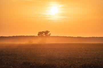 złoty zach&oacute;d słońca na polach latem