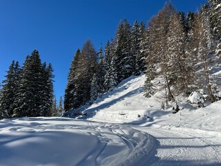 Excellently arranged and cleaned winter trails for walking, hiking, sports and recreation in the area of the tourist resort of Davos in the Swiss Alps - Canton of Grisons, Switzerland (Schweiz)