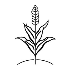 Ruscus Eucalyptus Leaf Vector Continuous Single Line Drawing