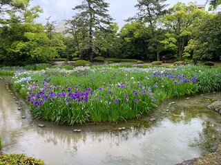 Fototapeta premium Japanese Garden in Ritsurin Garden, Kagawa, Japan