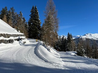 Excellently arranged and cleaned winter trails for walking, hiking, sports and recreation in the area of the tourist resort of Davos in the Swiss Alps - Canton of Grisons, Switzerland (Schweiz)