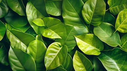 Green Leaf Collection: Artistic Watercolor and Detailed Digital Illustrations Featuring Clovers, Tropical Leaves, Falling Foliage, and Textured Dry Leaves - Perfect for Nature-Themed Designs and Decor