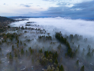 Early morning fog drifts through the scenic Willamette Valley in northern Oregon. This area is just south of the Pacific Northwest city of Portland.