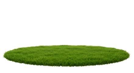 green grassland landscape isolated on white or transparent png