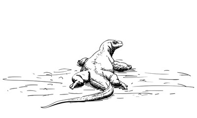 Komodo dragon hand drawn illustration, Rear view, Vector sketch of apex predator and large reptile of the monitor lizard family