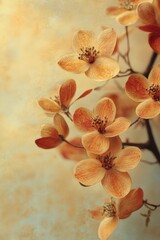 Naklejka premium Delicate orange flowers blooming on a branch, spring floral background