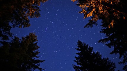 Naklejka premium Night sky nature landscape background