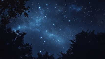 Night sky nature landscape background