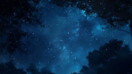 Fototapeta premium Night sky nature landscape background