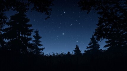 Fototapeta premium Night sky nature landscape background