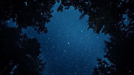 Naklejka premium Night sky nature landscape background
