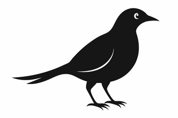 Bird Silhouette Illustration Vector Design
