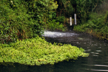"Serenidad entre la Naturaleza"