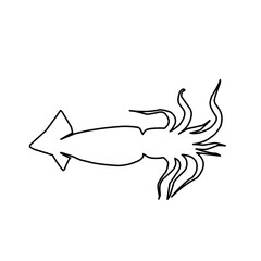 Squid Line Icon 