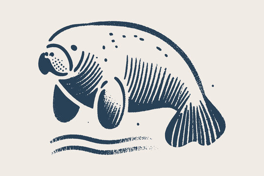Vintage hand drawn vector illustration of a manatee, simple blue art