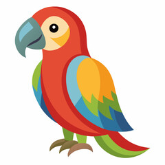 Parrot on White Background