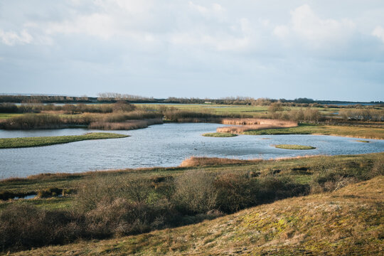 Wetlands and marshes in Parc du Marquenterre, France