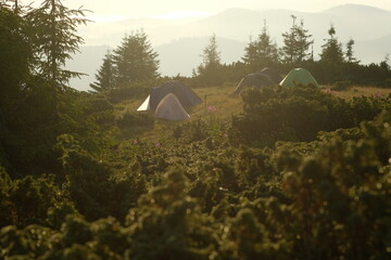 Tourist camp on a mountain meadow on a sunny morning.