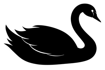black swan on white background © dipu