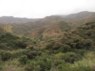 Barranco Blanco (Co&iacute;n, Province of M&aacute;laga, Spain)