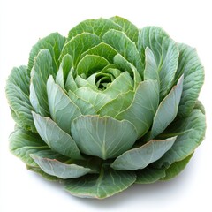 Obraz premium photo of a cabbage, hd, isolated on white backgroun