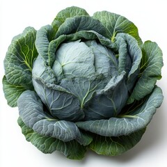 Obraz premium photo of a cabbage, hd, isolated on white backgroun