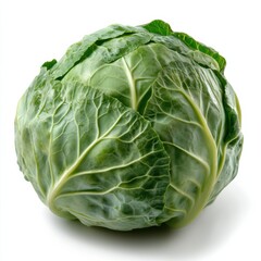 Obraz premium photo of a cabbage, hd, isolated on white backgroun