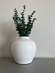 plant in a vase