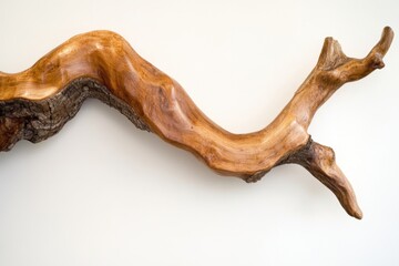 Polished Wooden Branch Wall Art Decor Piece