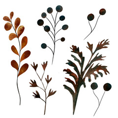 Set of colourful autumn leaves. Watercolor illustration. Collection of various leaves isolated on white background. For the design, decoration and composition of postcards, posters, stickers, prints