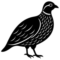 quail bird black silhouette vector, Simple silhouette Design vector icon with white background