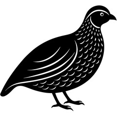 quail bird black silhouette vector, Simple silhouette Design vector icon with white background