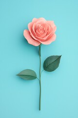 Valentine's Day Elegant Pink Rose Flower on Blue Background Minimalist Floral Design