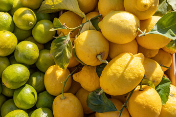 Lemons and limes for sale at a food market
