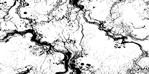 Fototapeta premium Abstract black and white stylized topographic lines in contour map background.