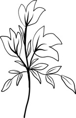 Plant card decoration 8