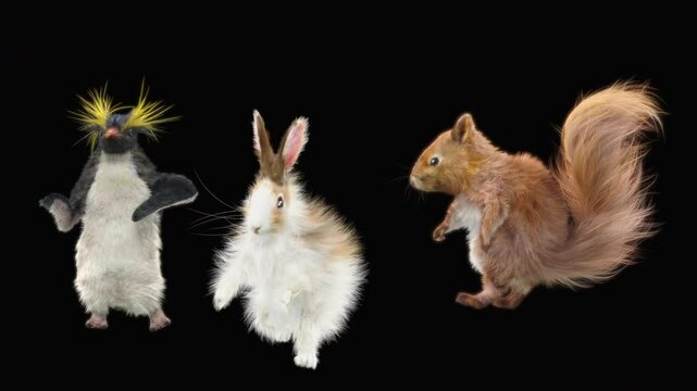 penguin Rabbit squirrel Dancing CG fur. 3d rendering, animal realistic CGI VFX, Animation Loop, composition 3d mapping cartoon, Included in the end of the clip with luma matte.