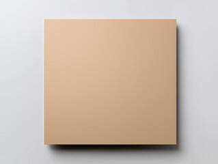 Poster Board Totally Blank, Full Surface Visible