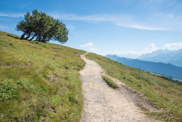 hiking path at Niederhorn mountain ridge, Bernese Alps