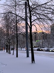 A serene snow-covered city street at sunset with snow-laden trees and pink-hued sky