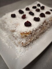Delicious christmas coconut pudding with dried cranberries on white plate party food for aperitif, New Year's Eve dinner, Christmas or birthday