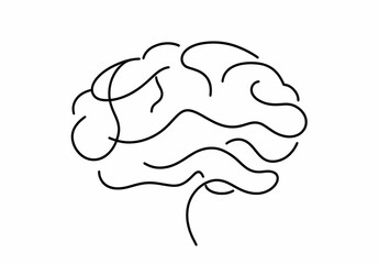 brain outline: Detailed Brain Outline Illustration, line brain design, Hand drawn  
