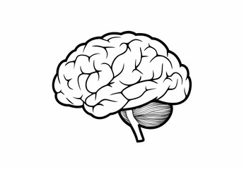 Fototapeta premium brain outline: line brain design, Hand drawn, Abstract Brain Outline, Creative Minimal Brain Outline Design