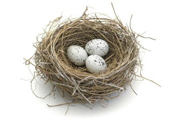 Three white eggs in a nest of twigs